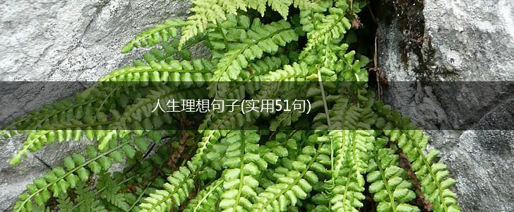 人生理想句子(实用51句),第1张
