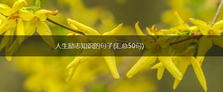 人生励志知识的句子(汇总50句),第1张