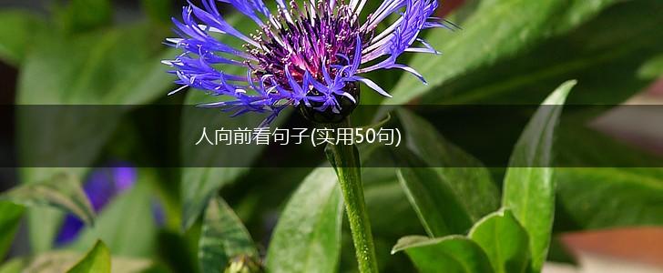 人向前看句子(实用50句),第1张