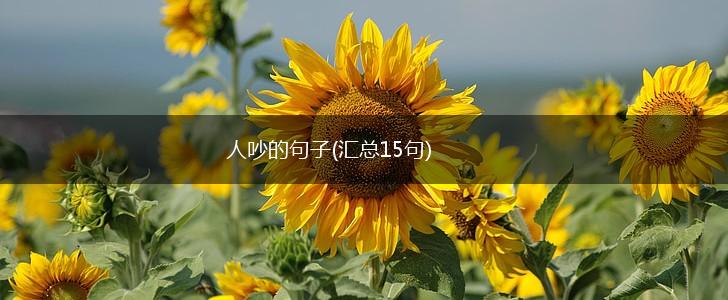 人吵的句子(汇总15句),第1张