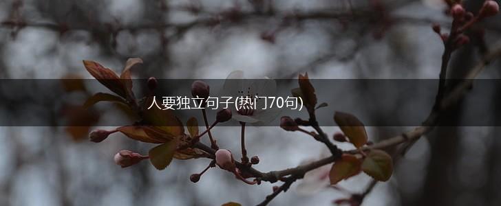 人要独立句子(热门70句),第1张
