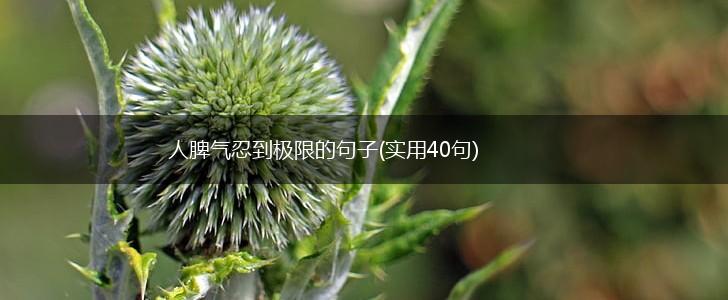 人脾气忍到极限的句子(实用40句),第1张