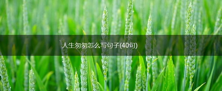 人生匆匆怎么写句子(40句),第1张
