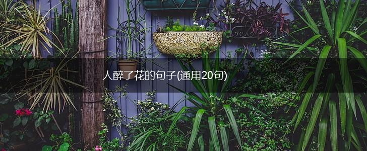 人醉了花的句子(通用20句),第1张