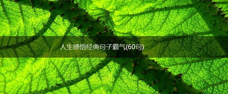人生感悟经典句子霸气(60句),第1张