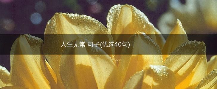 人生无常 句子(优选40句),第1张
