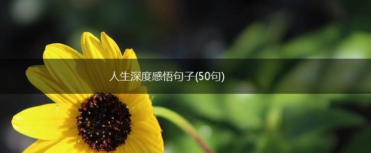 人生深度感悟句子(50句),第1张