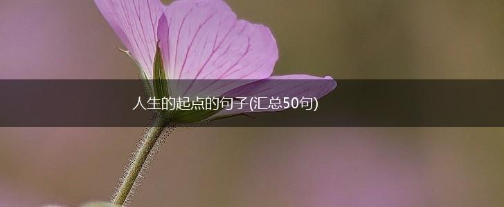 人生的起点的句子(汇总50句),第1张