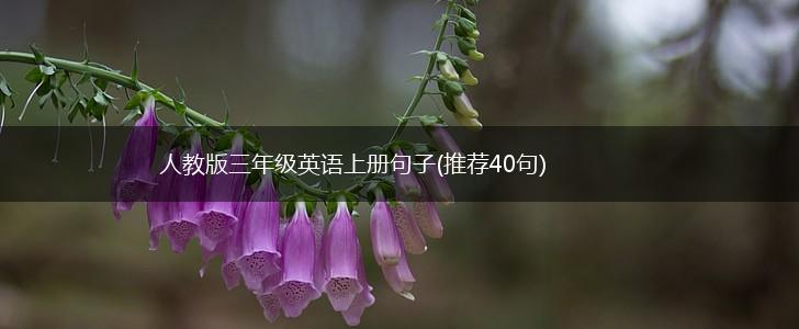 人教版三年级英语上册句子(推荐40句),第1张