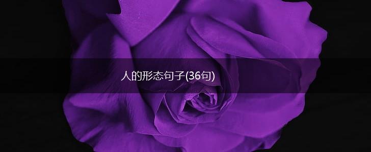 人的形态句子(36句),第1张