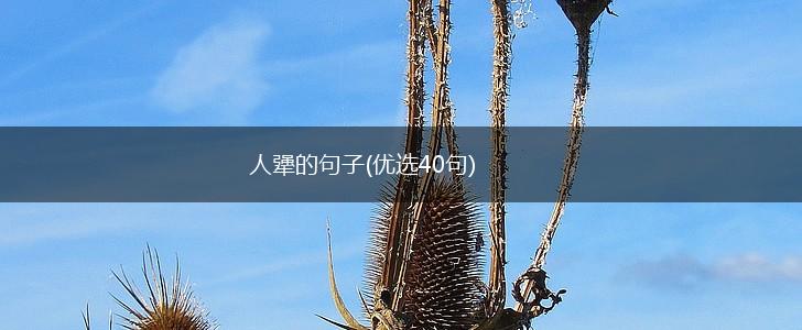 人犟的句子(优选40句),第1张