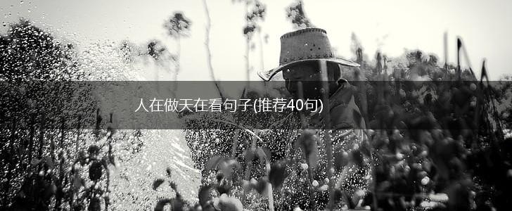 人在做天在看句子(推荐40句),第1张