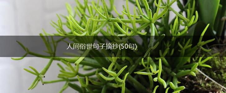 人间俗世句子摘抄(50句),第1张