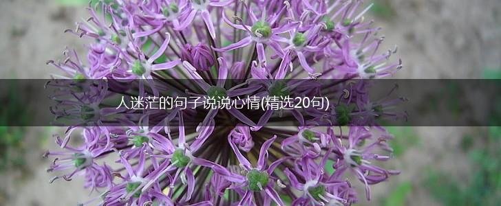 人迷茫的句子说说心情(精选20句),第1张