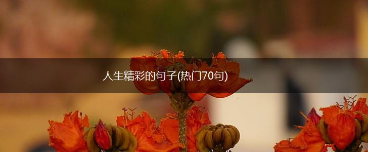 人生精彩的句子(热门70句),第1张