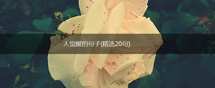 人觉醒的句子(精选20句),第1张