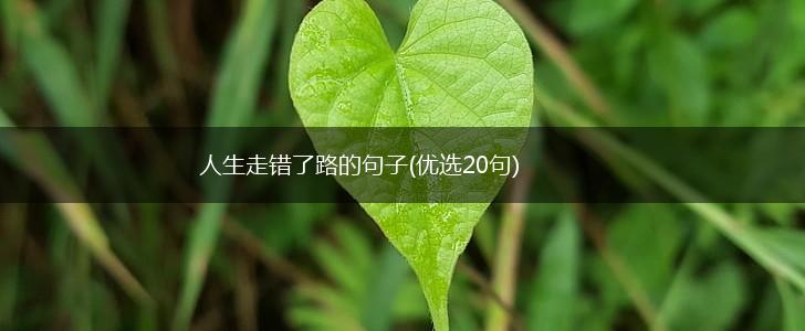人生走错了路的句子(优选20句),第1张
