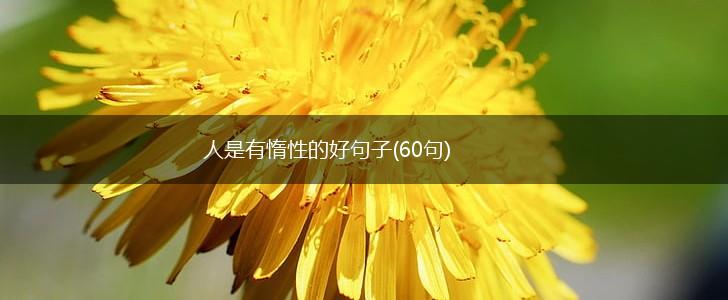 人是有惰性的好句子(60句),第1张