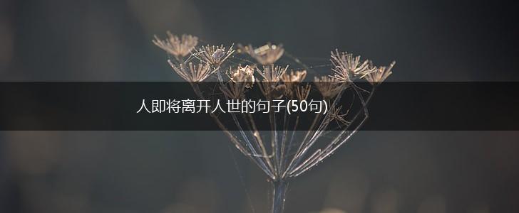 人即将离开人世的句子(50句),第1张