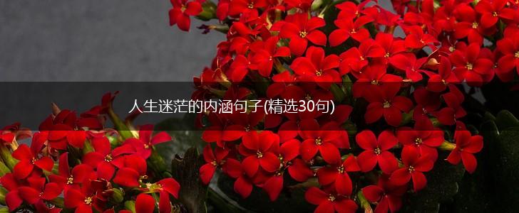 人生迷茫的内涵句子(精选30句),第1张