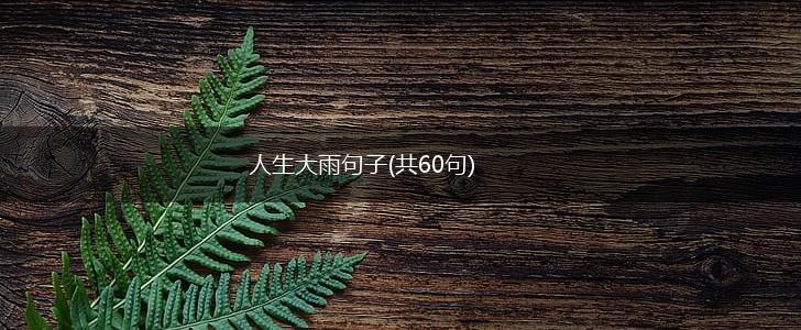 人生大雨句子(共60句),第1张