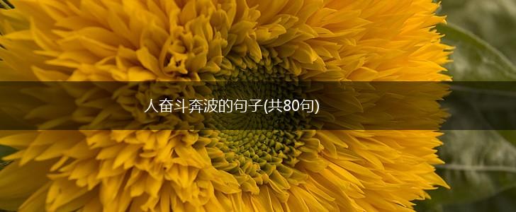 人奋斗奔波的句子(共80句),第1张