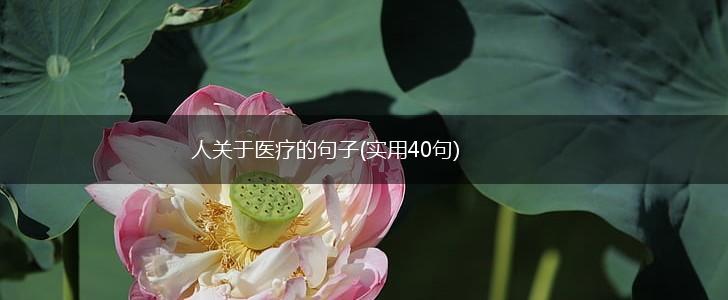 人关于医疗的句子(实用40句),第1张