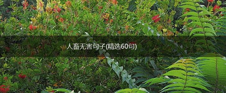 人畜无害句子(精选60句),第1张