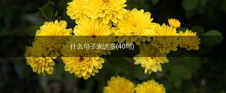 什么句子表达多(40句),第1张