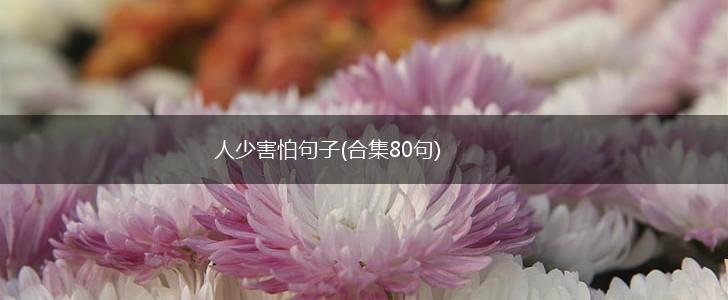 人少害怕句子(合集80句),第1张