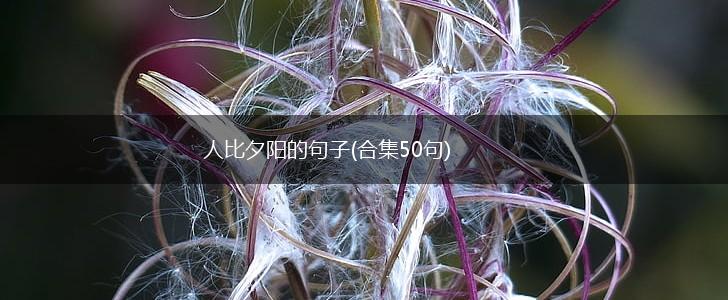 人比夕阳的句子(合集50句),第1张