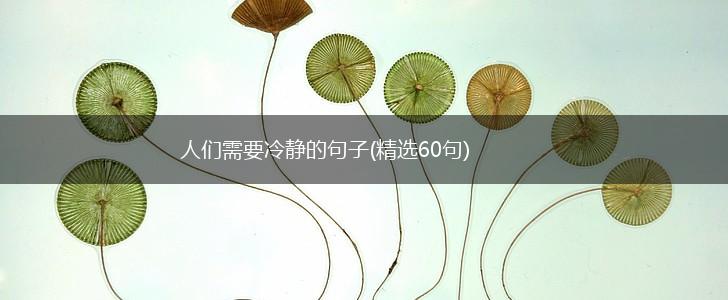 人们需要冷静的句子(精选60句),第1张