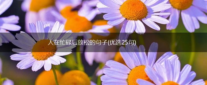 人在忙碌后放松的句子(优选25句),第1张