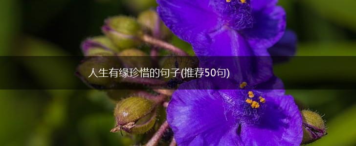 人生有缘珍惜的句子(推荐50句),第1张