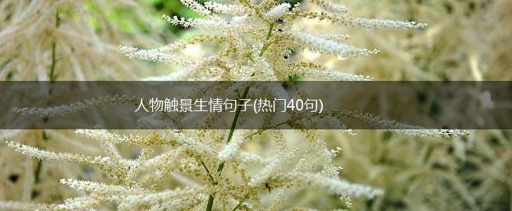 人物触景生情句子(热门40句),第1张