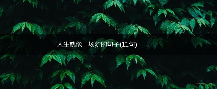 人生就像一场梦的句子(11句),第1张