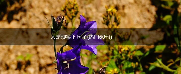 人是现实的句子(热门60句),第1张