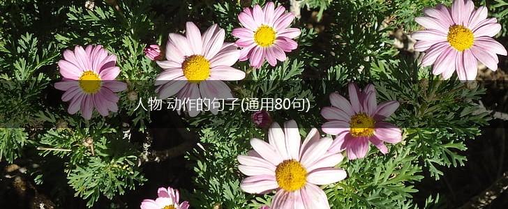 人物 动作的句子(通用80句),第1张
