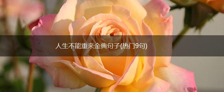 人生不能重来金典句子(热门9句),第1张