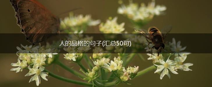 人的品格的句子(汇总50句),第1张