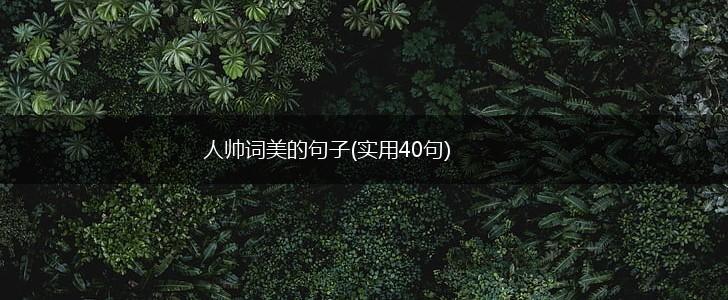 人帅词美的句子(实用40句),第1张