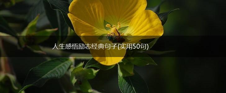 人生感悟励志经典句子(实用50句),第1张