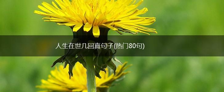 人生在世几回真句子(热门80句),第1张