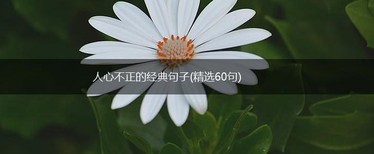 人心不正的经典句子(精选60句),第1张