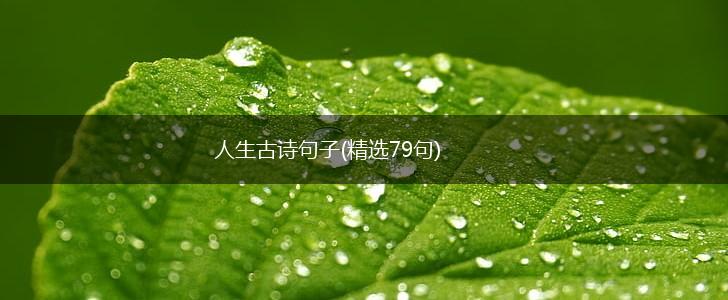 人生古诗句子(精选79句),第1张