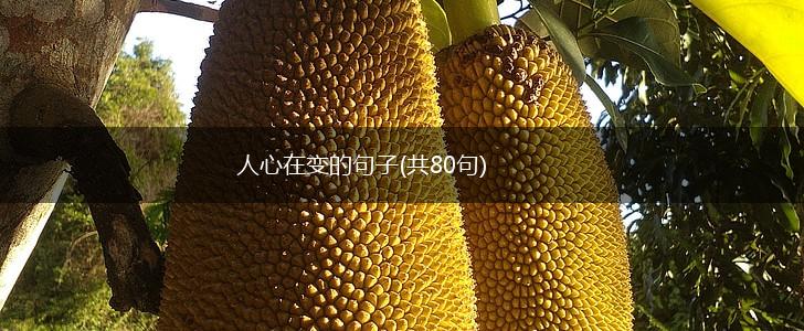人心在变的句子(共80句),第1张
