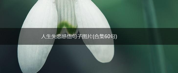人生失恋感悟句子图片(合集60句),第1张