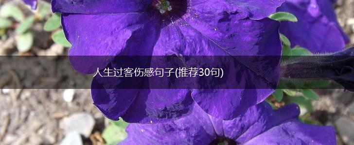 人生过客伤感句子(推荐30句),第1张