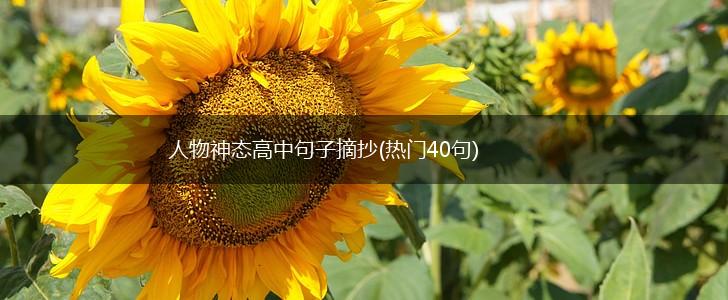 人物神态高中句子摘抄(热门40句),第1张