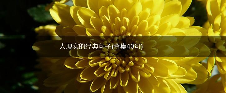 人现实的经典句子(合集40句),第1张